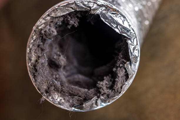 Best Affordable Duct Cleaning Services  in Stony Point, MI