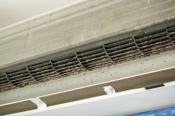 Best Commercial Air Duct Cleaning  in Stony Point, MI